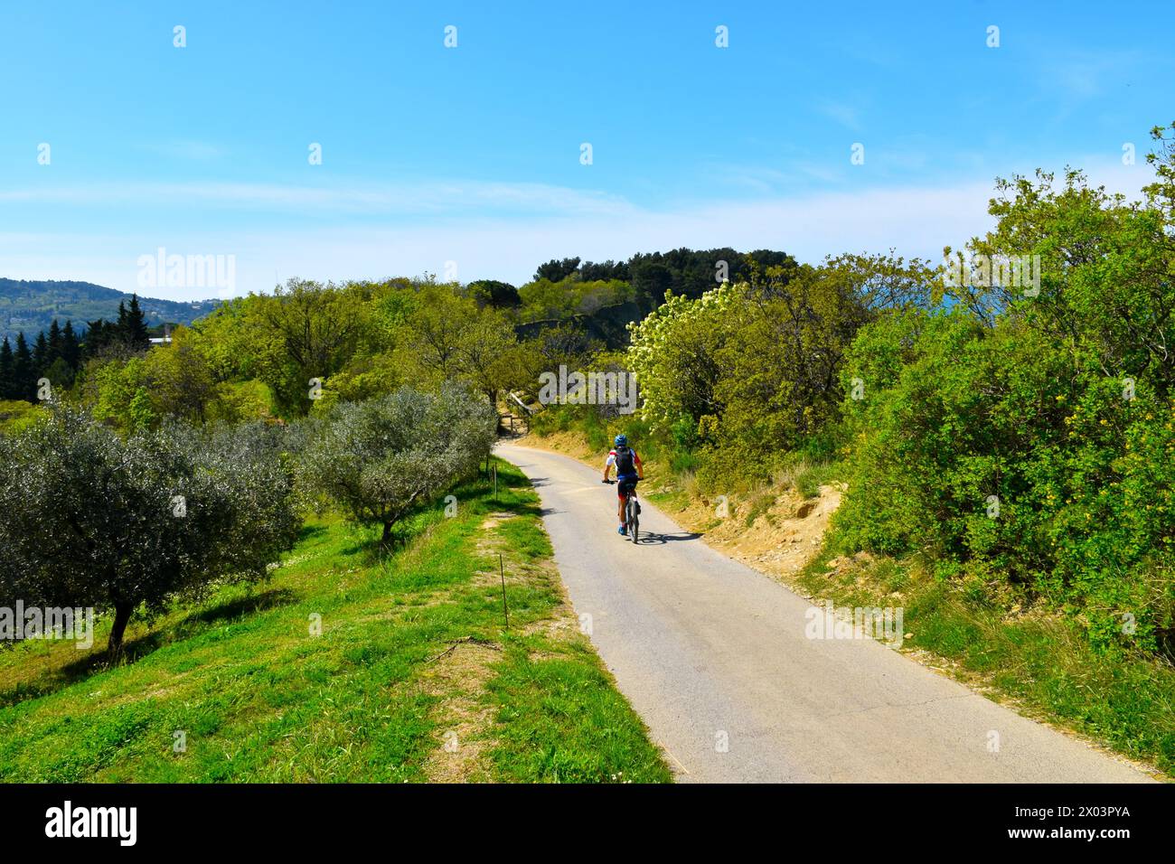 Cyclist going down the road to Strunjan nature reserve in Primorska, Slovenia Stock Photo