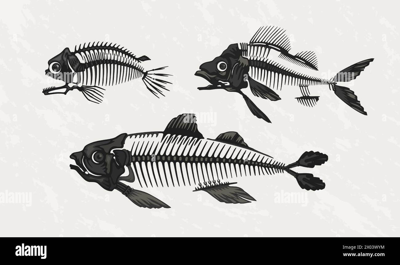 Black Grey Blue Bones Skeletons Bass Fishing Fish Boat Design