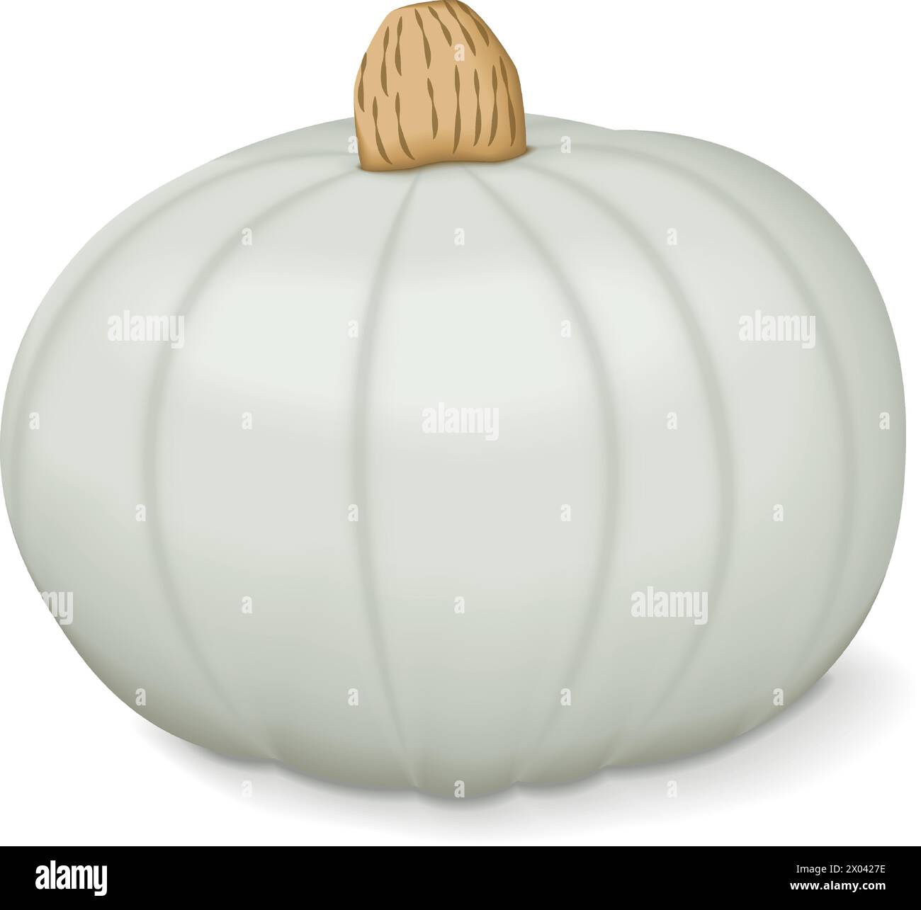 Crown Prince Squash. Winter squash. Cucurbita maxima. Fruits and vegetables. Isolated vector illustration. Stock Vector