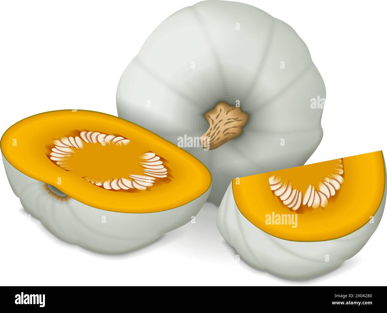 Whole and chopped Crown Prince Squash. Winter squash. Cucurbita maxima. Fruits and vegetables. Isolated vector illustration. Stock Vector