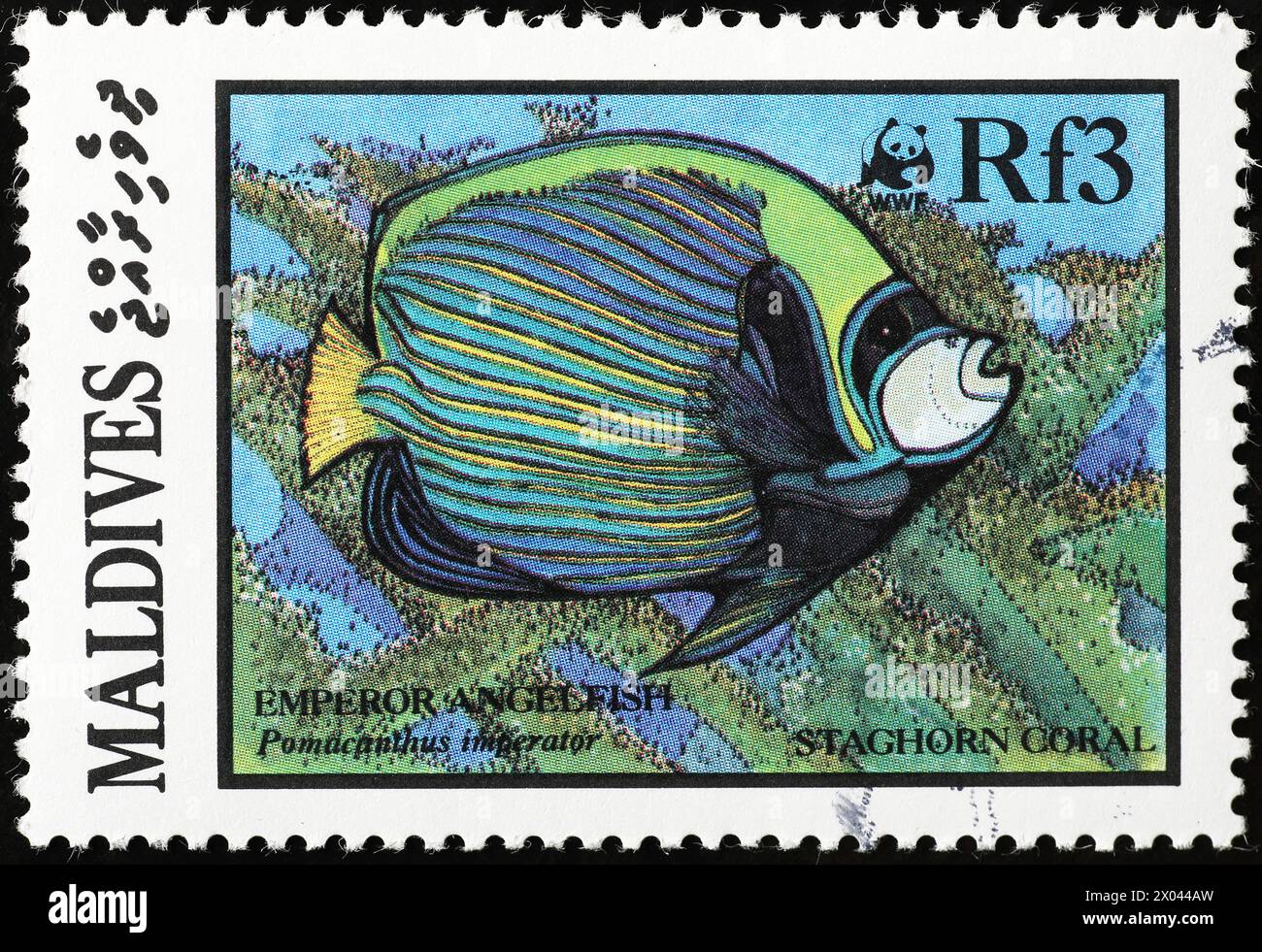 Emperor angelfish on postage stamp of Maldives Stock Photo