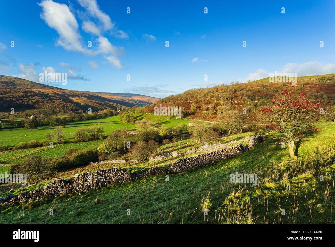 Langstrothdale is a scenic valley in the Yorkshire Dales in North Yorkshire, England. The uppermost course of the River Wharfe runs through it, but Wh Stock Photo
