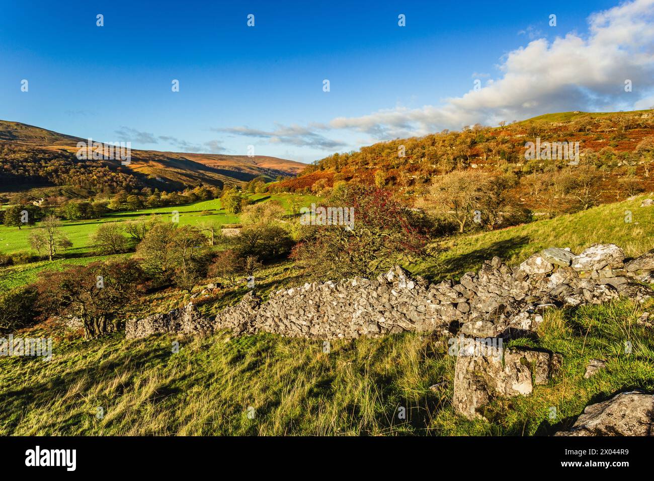 Langstrothdale is a scenic valley in the Yorkshire Dales in North Yorkshire, England. The uppermost course of the River Wharfe runs through it, but Wh Stock Photo