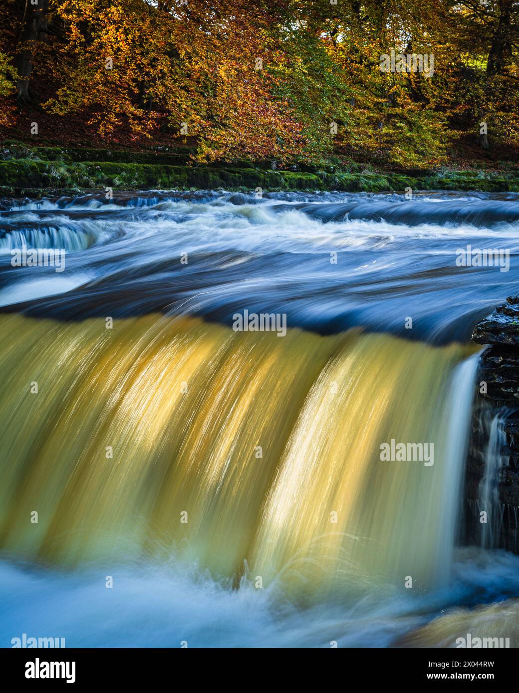 Autum at Aysgarth Falls, Wensleydale, Yorkshire, England. Stock Photo