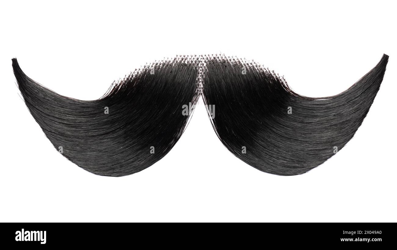 Stylish artificial black moustache isolated on white Stock Photo