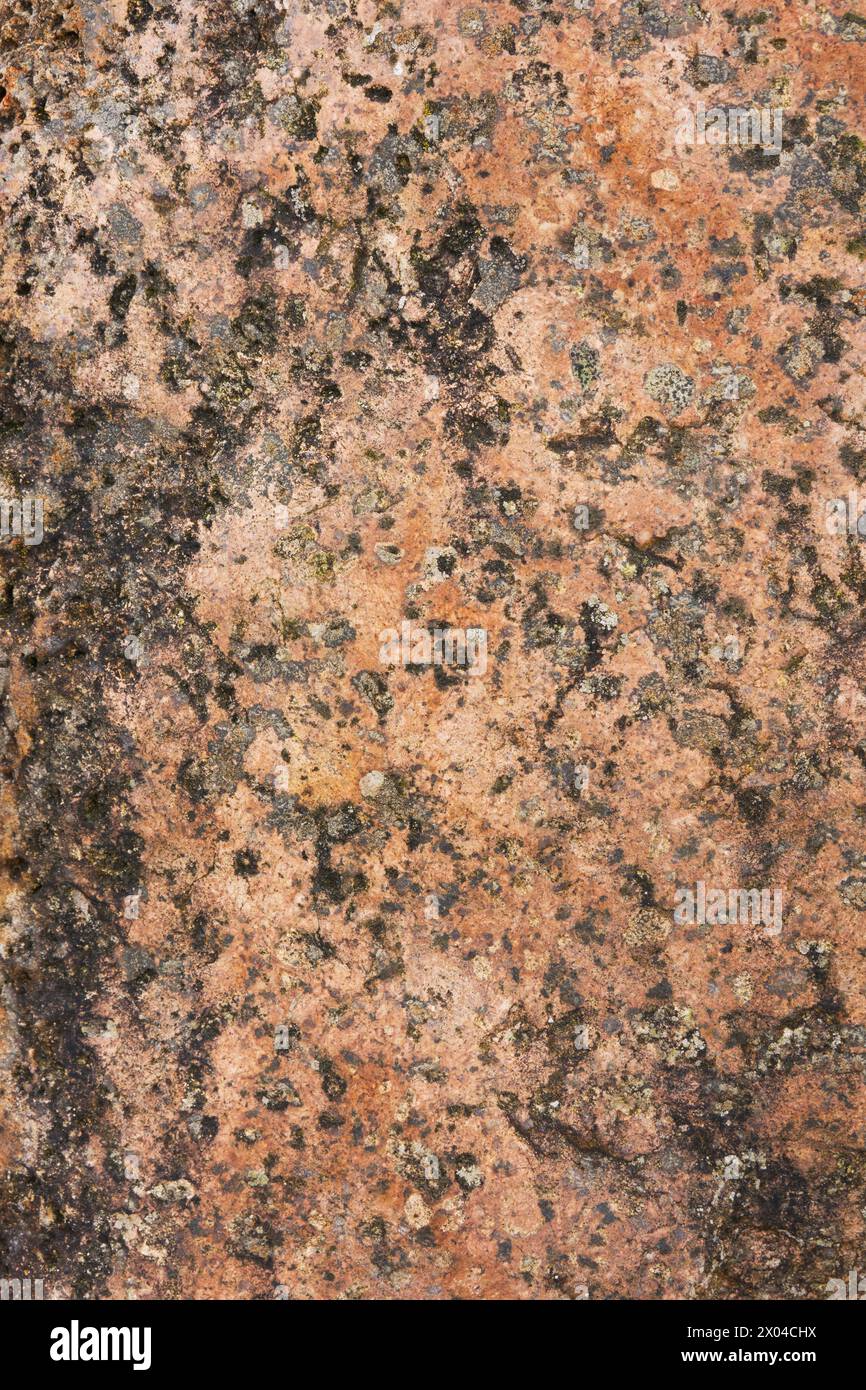 Background of Åland rapakivi granite, red brown rock with crystals of orthoclase Stock Photo
