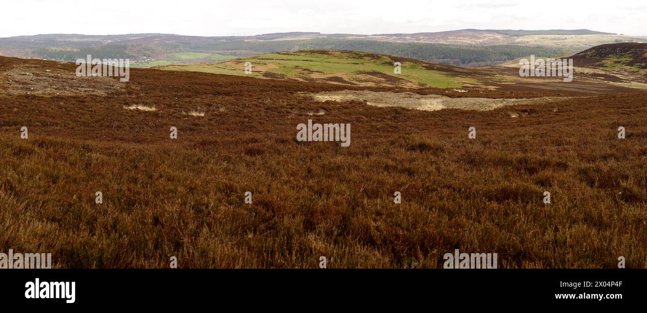 LORDENSHAWS IRON AGE HILLFORT, NORTHUMBERLAND Stock Photo