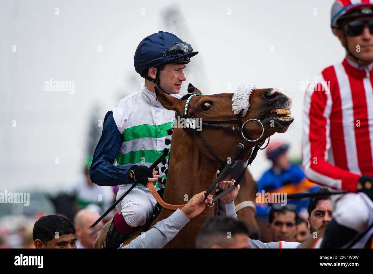 Coltrane and Oisin Murphy head to the start for the 2024 G1 Dubai Gold