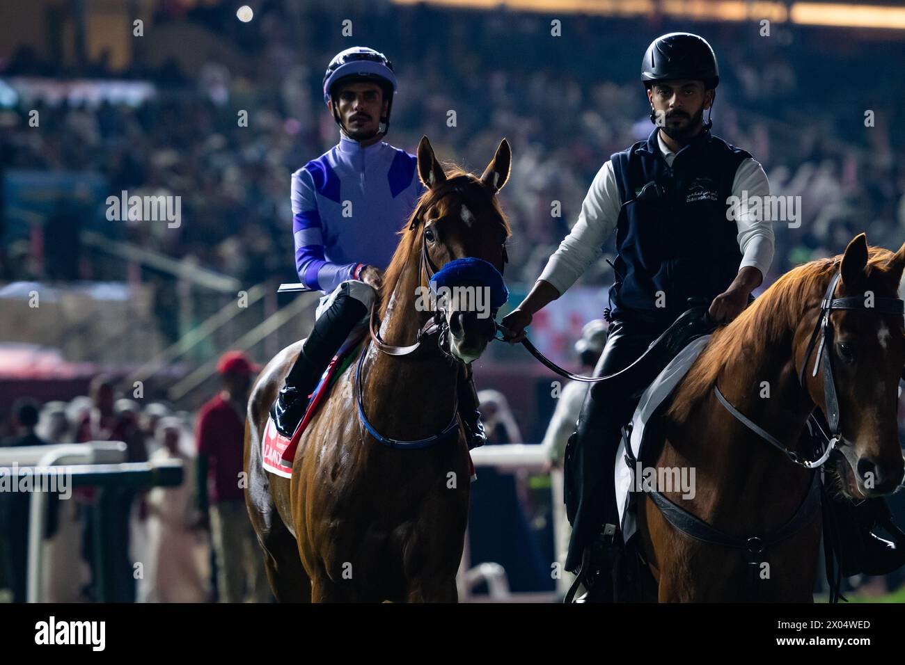 Defunded and Adel Al Furaydi head to the start for the 2024 G1 Emirates Dubai World Cup, Meydan Racecourse, 30/03/24. Credit JTW Equine Images / Alamy. Stock Photo