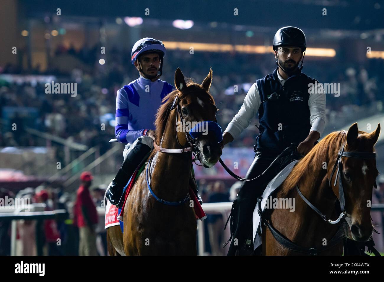 Defunded and Adel Al Furaydi head to the start for the 2024 G1 Emirates Dubai World Cup, Meydan Racecourse, 30/03/24. Credit JTW Equine Images / Alamy. Stock Photo