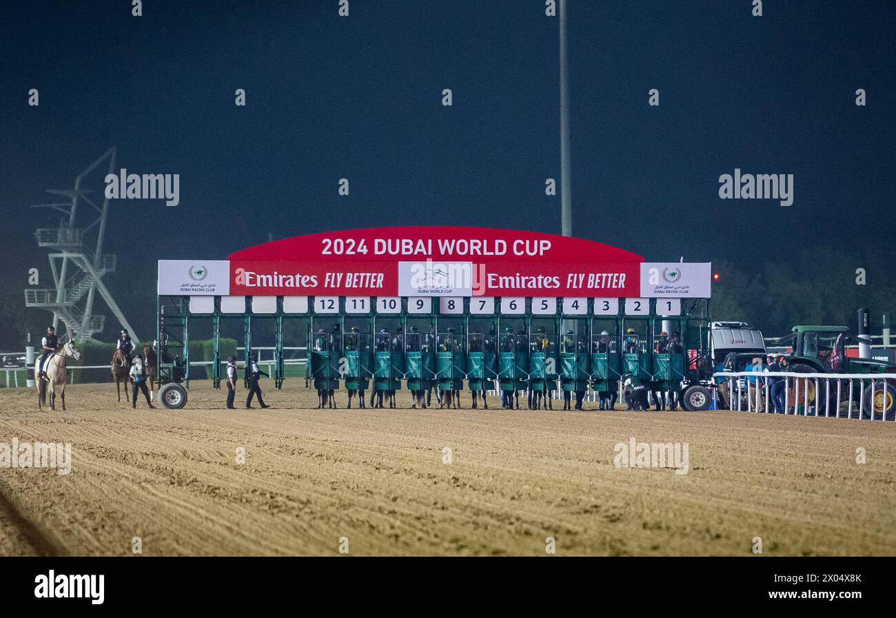 The 2024 G1 Emirates Dubai World Cup field begin the race, which was won by Laurel River and Tadhg O'Shea. Credit JTW Equine Images / Alamy. Stock Photo