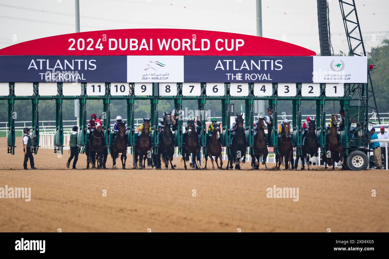Dwc 2024 hires stock photography and images Alamy