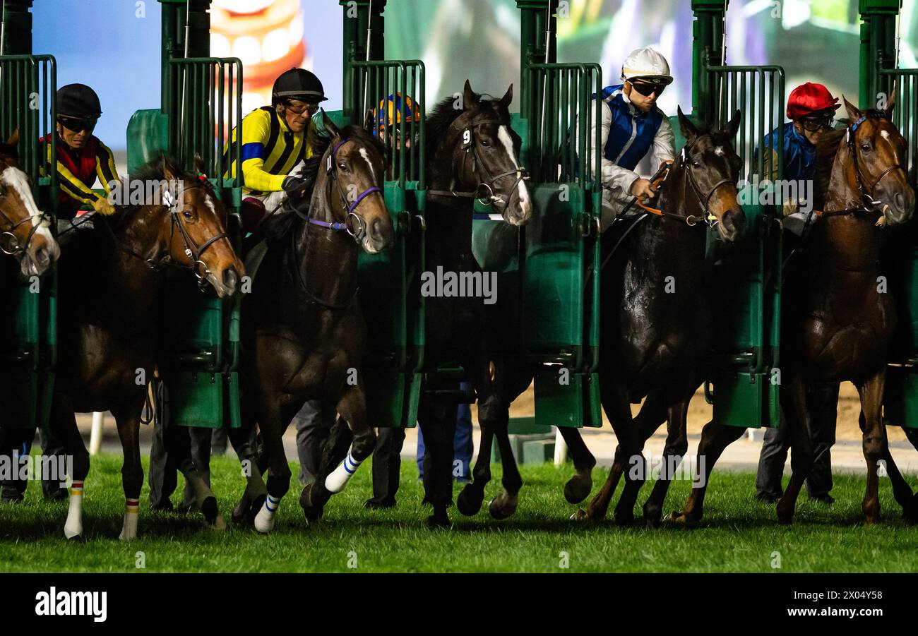 The field for the 2024 Group 1 Longines Dubai Sheema Classic breaks from the gates at Meydan Racecourse, 30/03/24. Credit JTW Equine Images / Alamy. Stock Photo