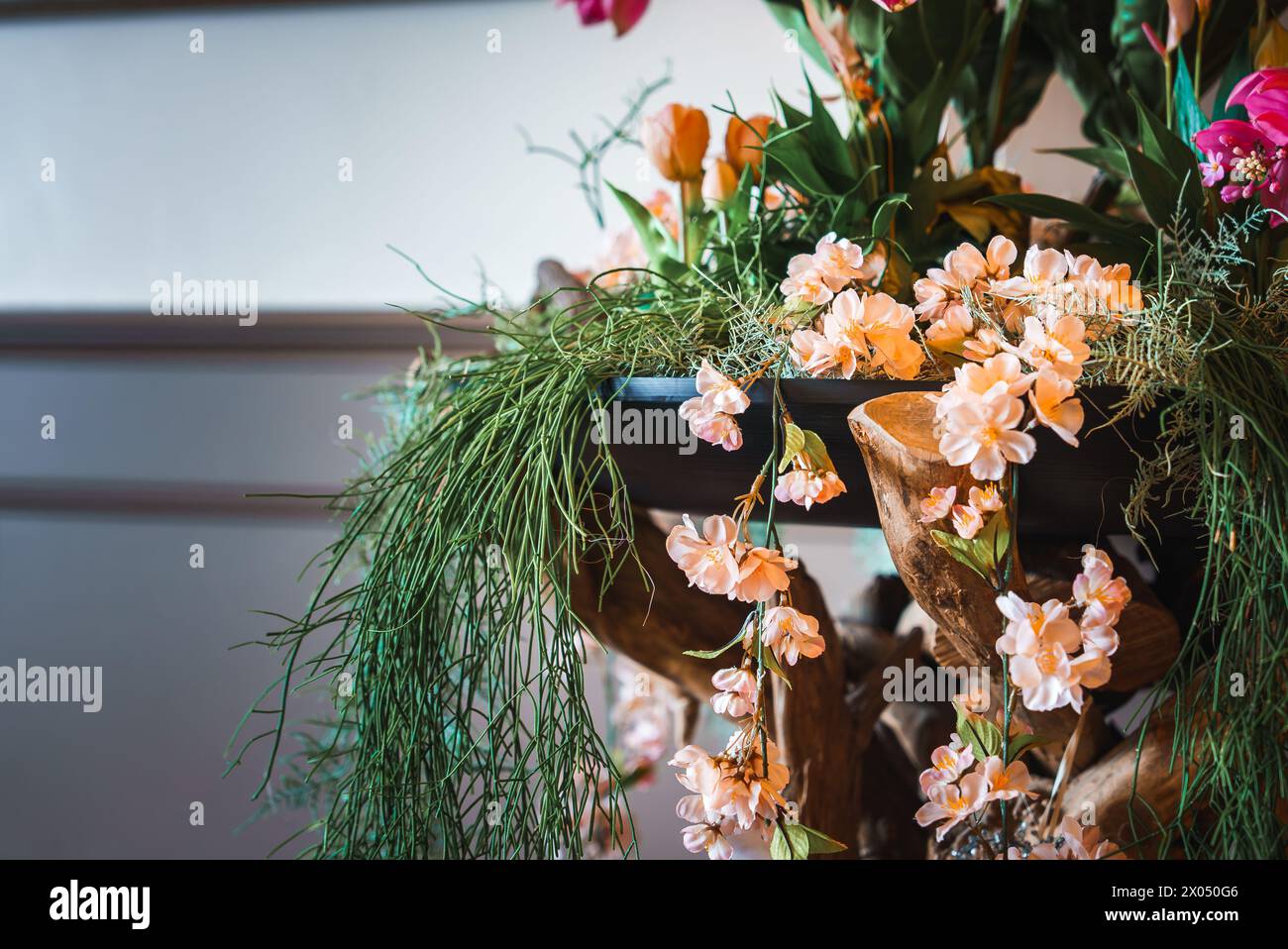 Beautiful Peach Flower Cascade on Dark Wooden Shelf Stock Photo