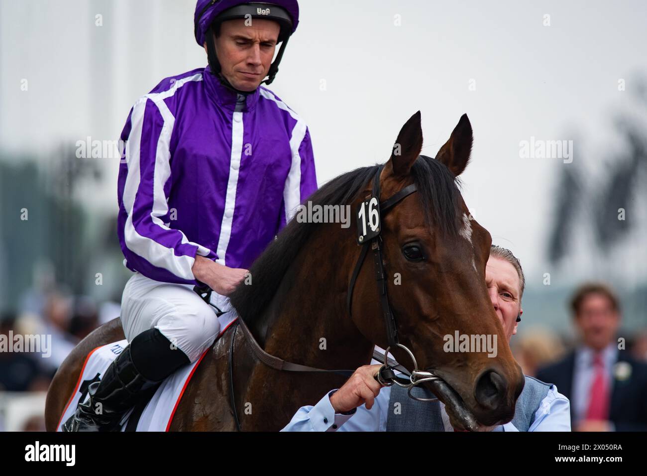 Tower of London and Ryan Moore win the 2024 renewal of the G2 Dubai Gold Cup for trainer Aidan O'Brien, 30/03/24. Credit JTW Equine Images / Alamy. Stock Photo