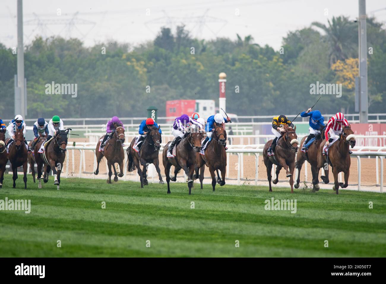 Tower of London and Ryan Moore win the 2024 renewal of the G2 Dubai Gold Cup for trainer Aidan O'Brien, 30/03/24. Credit JTW Equine Images / Alamy. Stock Photo
