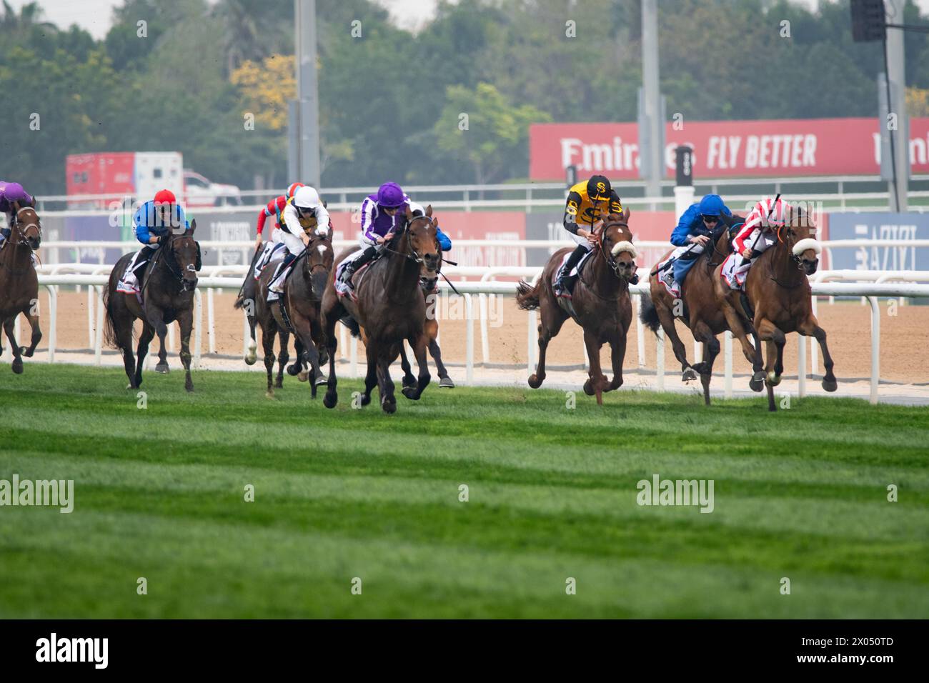 Tower of London and Ryan Moore win the 2024 renewal of the G2 Dubai Gold Cup for trainer Aidan O'Brien, 30/03/24. Credit JTW Equine Images / Alamy. Stock Photo