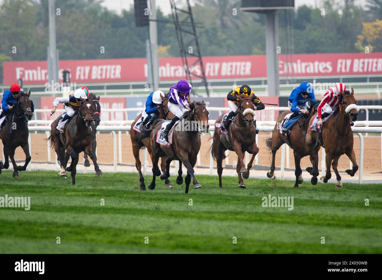 Tower of London and Ryan Moore win the 2024 renewal of the G2 Dubai Gold Cup for trainer Aidan O'Brien, 30/03/24. Credit JTW Equine Images / Alamy. Stock Photo