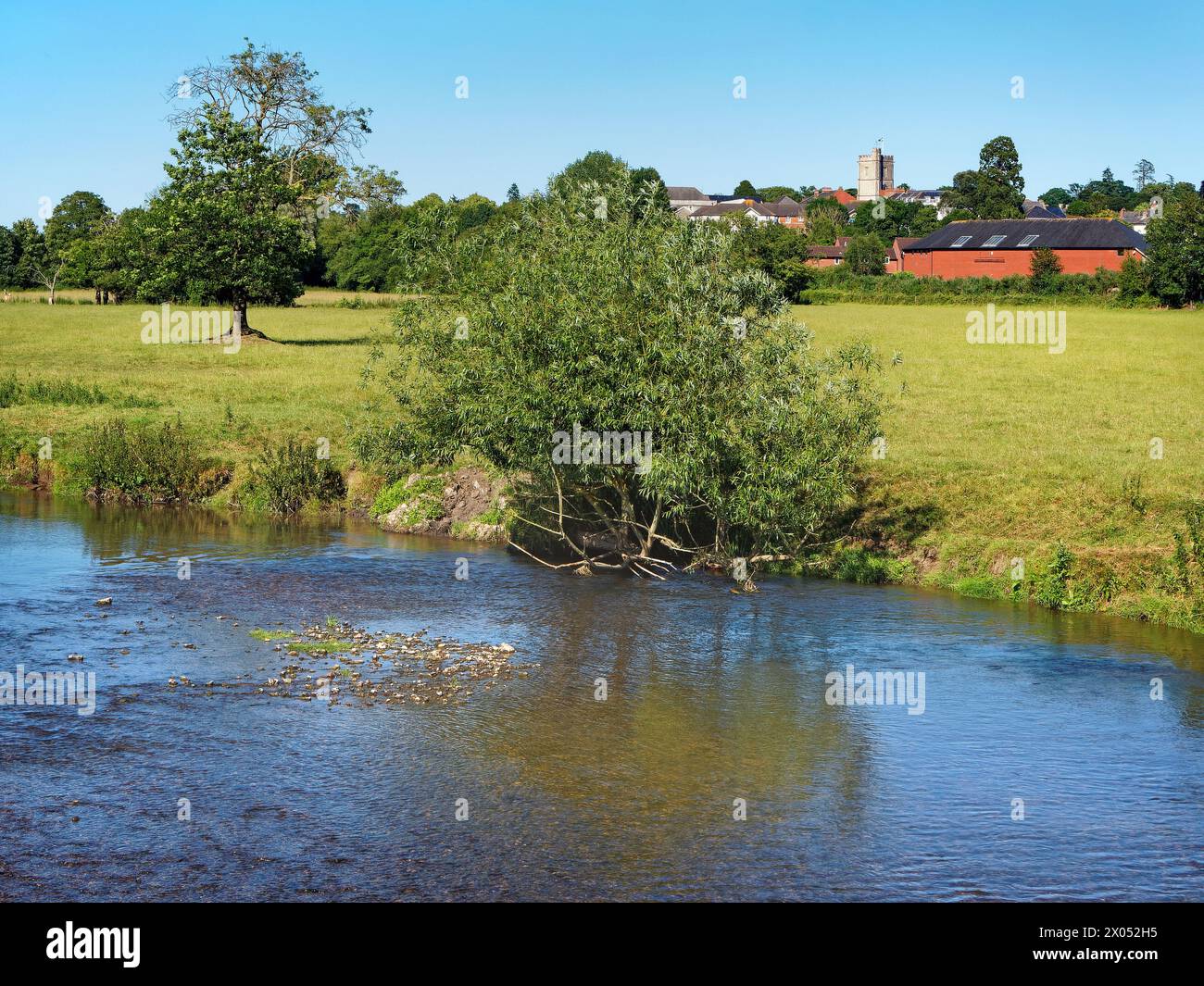From axminster hi-res stock photography and images - Alamy