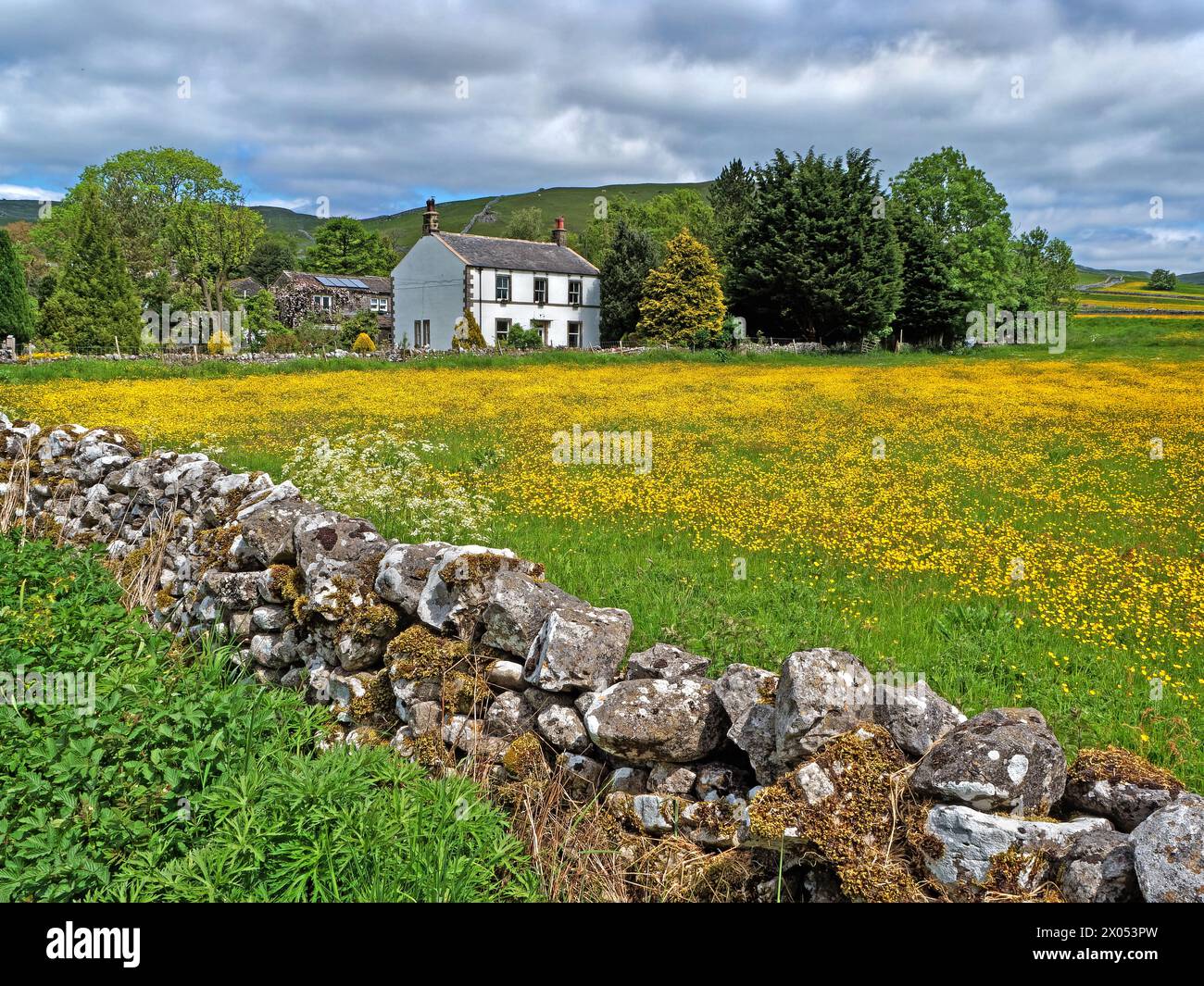 UK, North Yorkshire, Malham, Miresfield Farm Bed and Breakfast next to Buttercup Meadow. Stock Photo