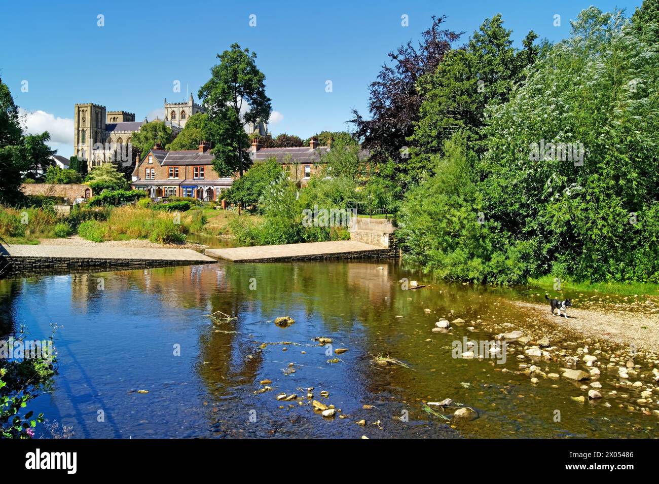 Skell river hi-res stock photography and images - Alamy
