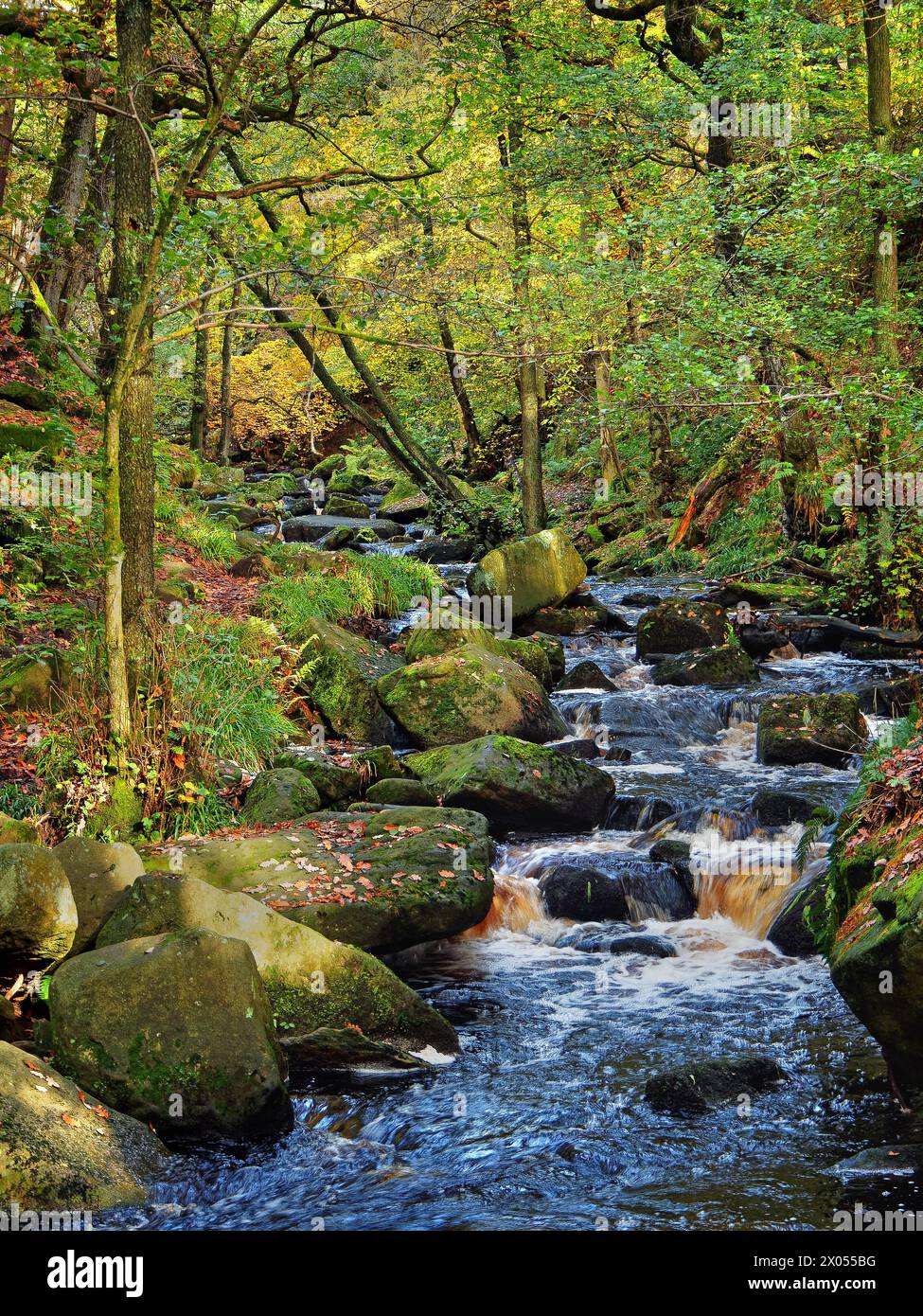 uk-derbyshire-peak-district-padley-gorge-waterfalls-stock-photo-alamy