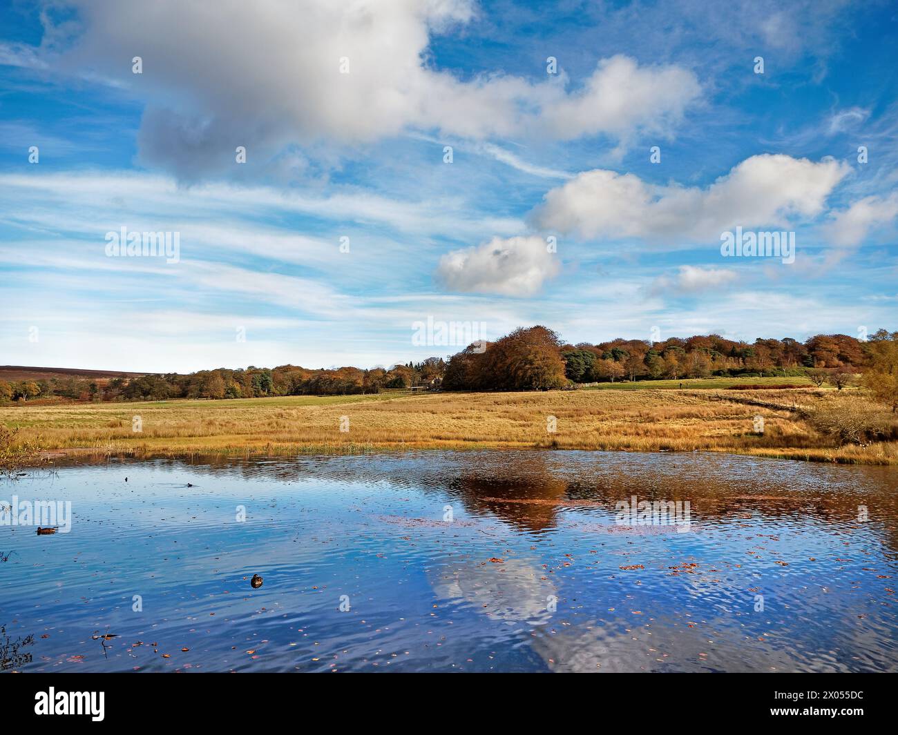 Longshaw Junction Longshaw lodge hi-res stock photography and images - Alamy