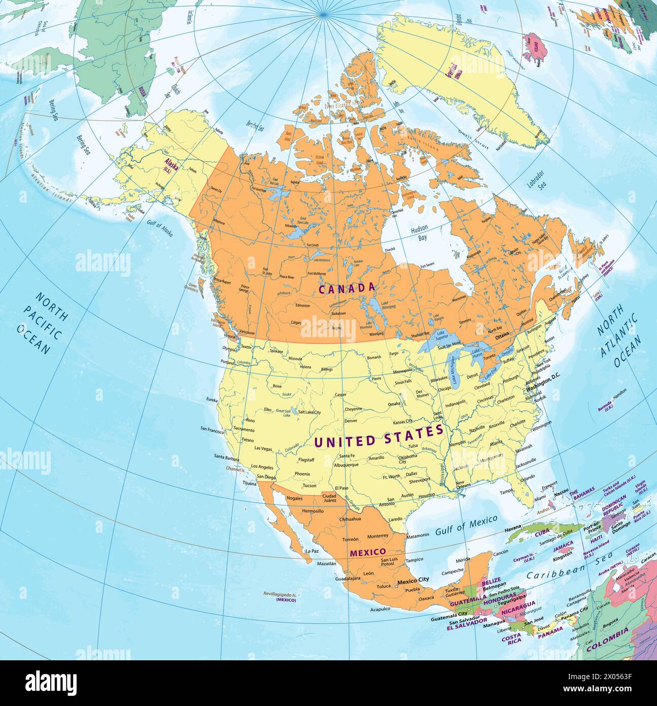 Simple political map of north america stock vector image art alamy