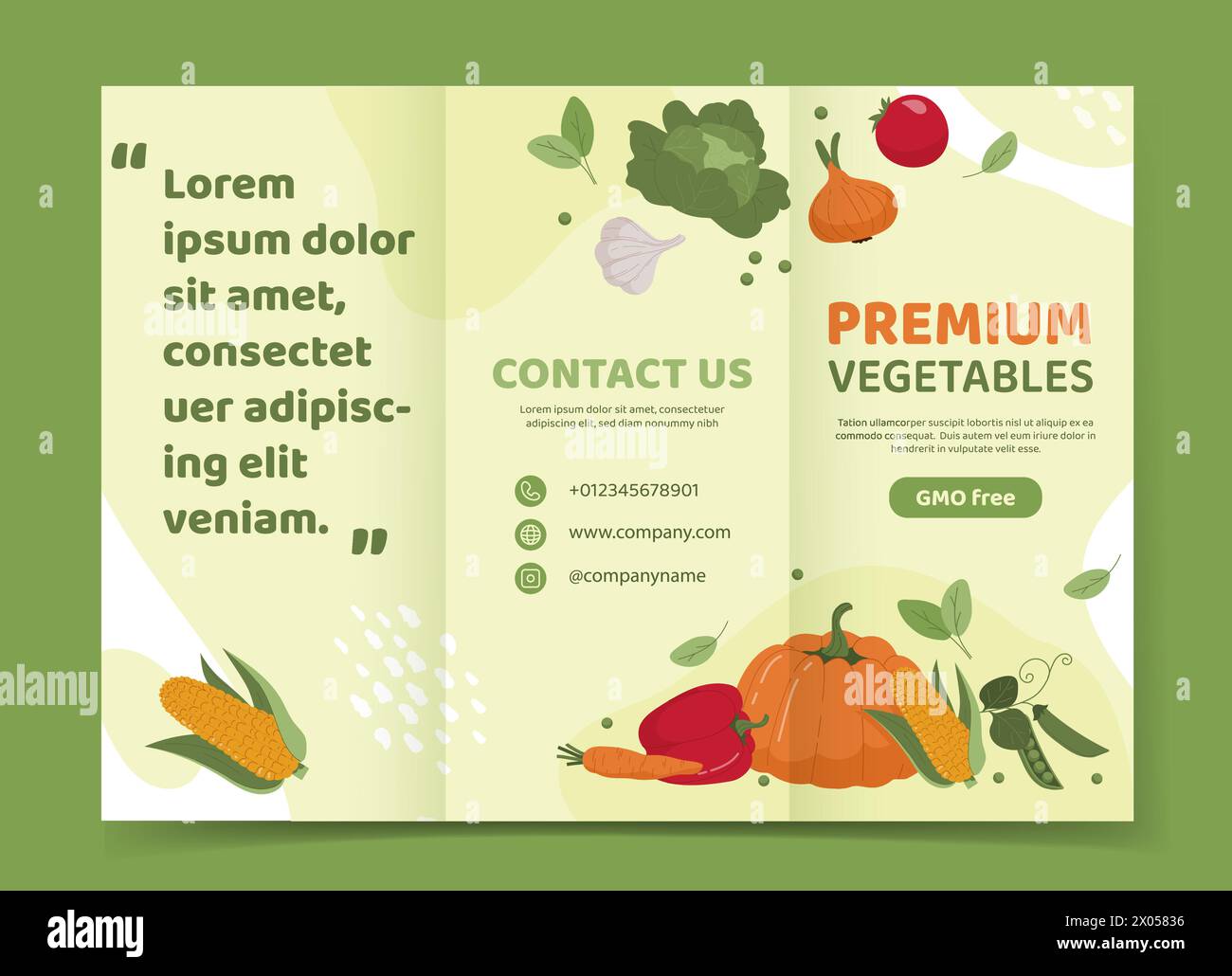 Brochure with vegetables vector concept Stock Vector