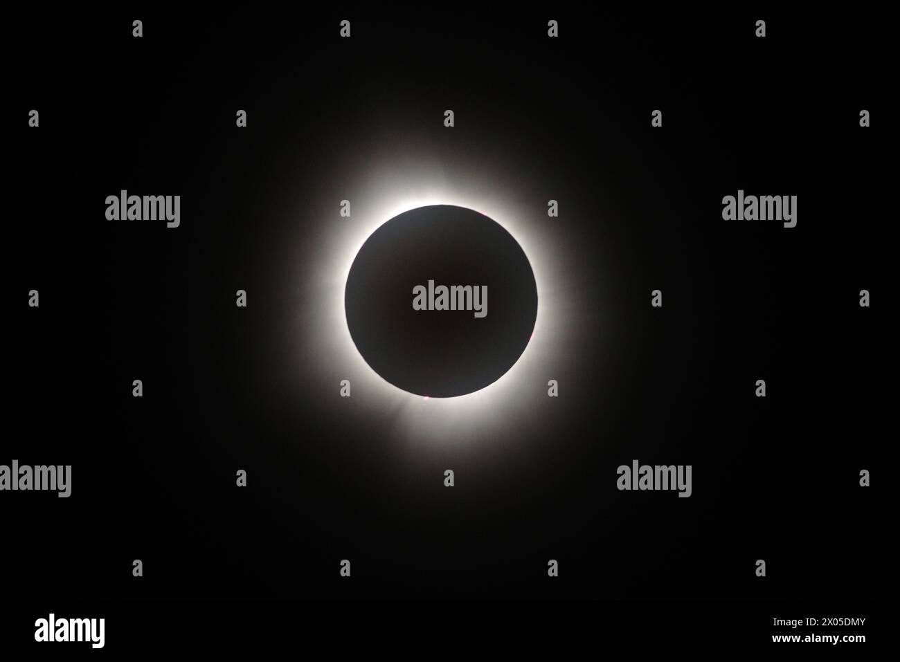 April 8 2024 great american total solar eclipse hires stock