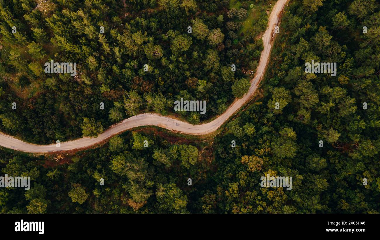 Aerial view of a road in the middle of the forest Stock Photo - Alamy