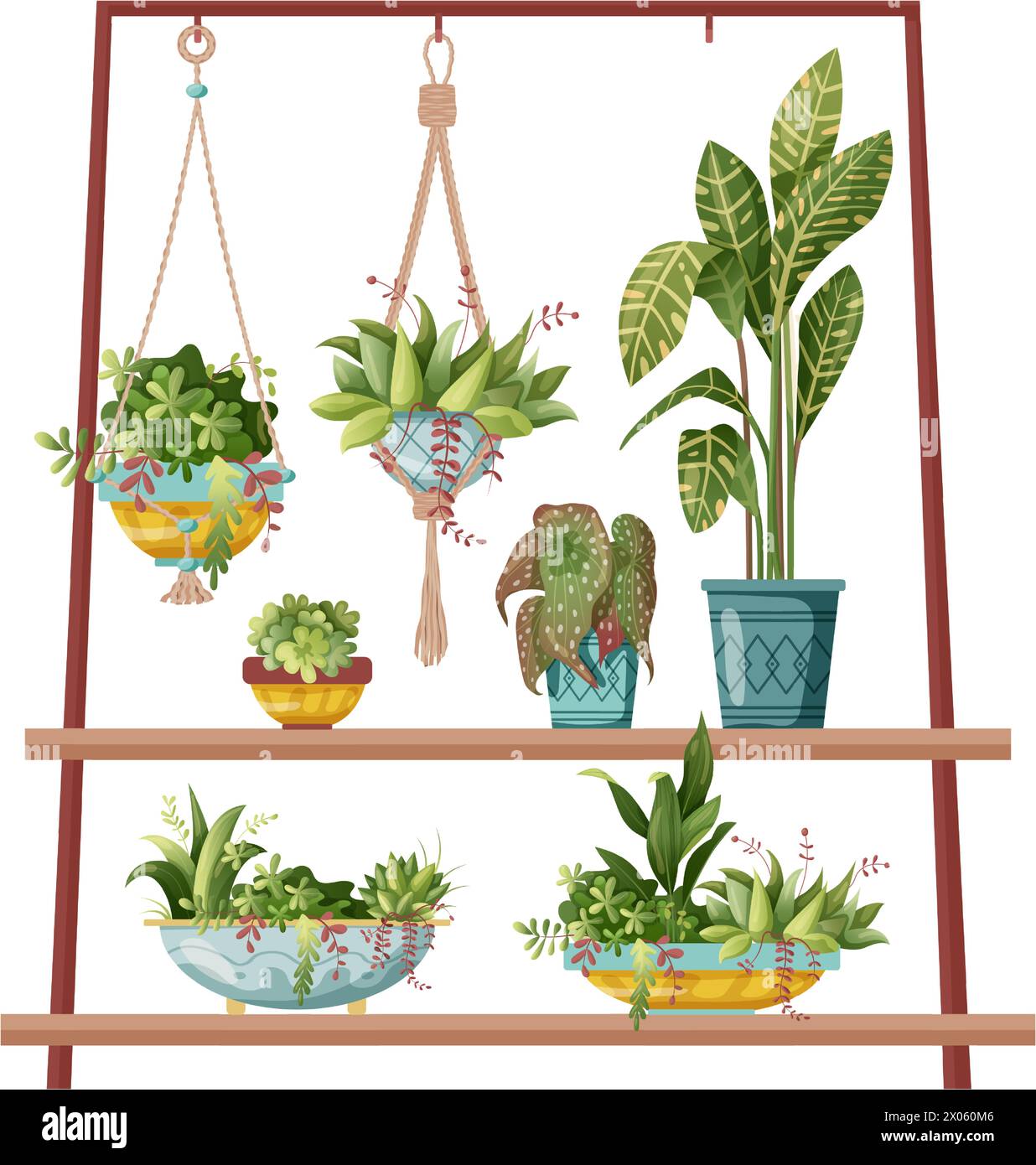 Houseplant and macrame plant growing in pots. Handmade home decorations ...