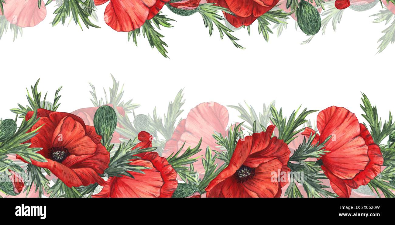 Red poppies with buds and leaves. Hand-drawn watercolor illustration ...