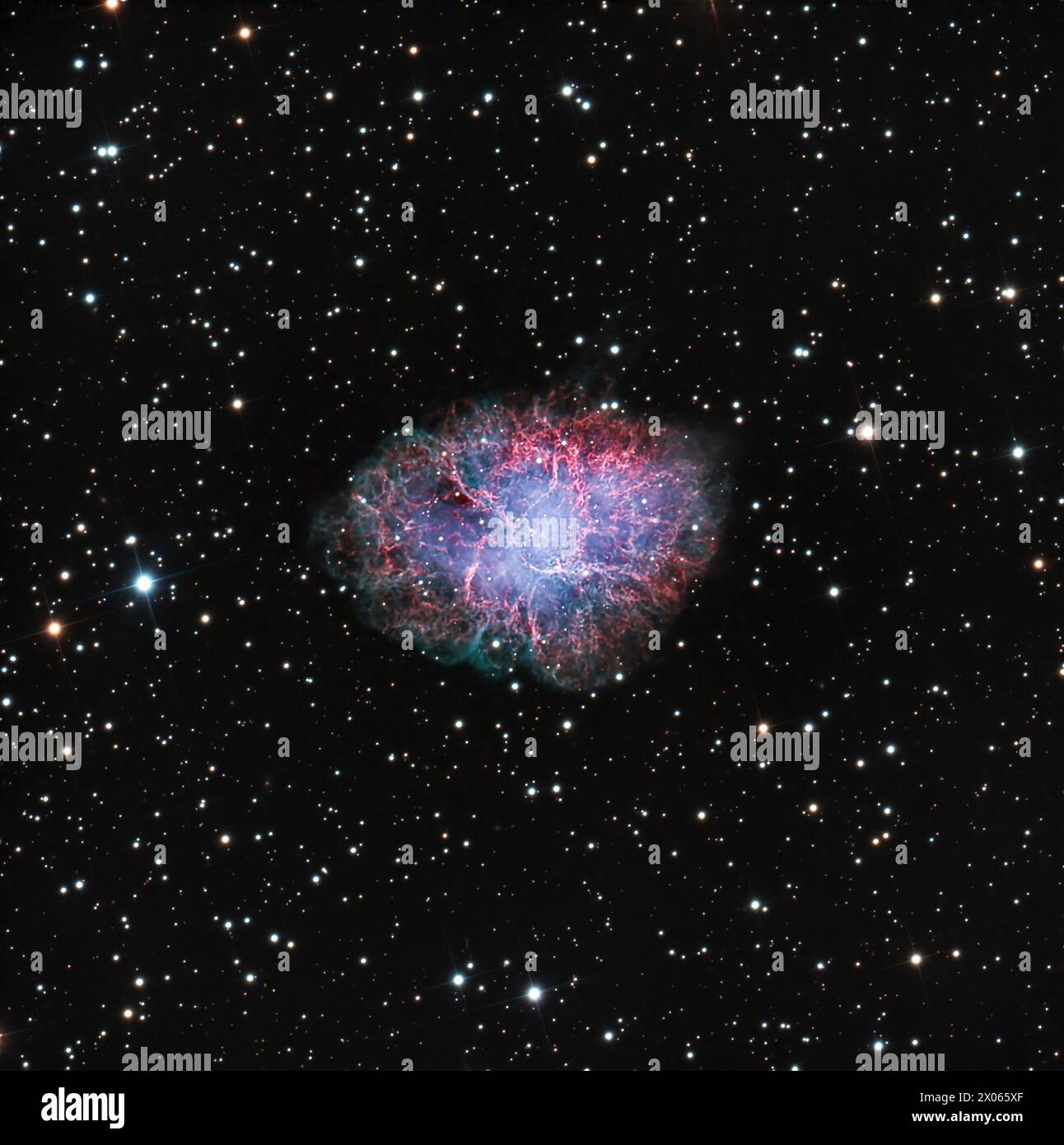 The Crab Nebula (Messier 1) in constellation Taurus. App. 18 hrs. exporsure. Stock Photo