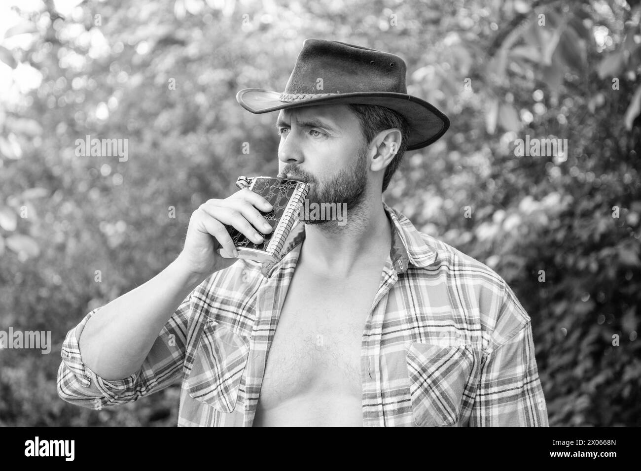 cowboy man drinking bourbon hipflask. man with bourbon hipflask outdoor. Stock Photo