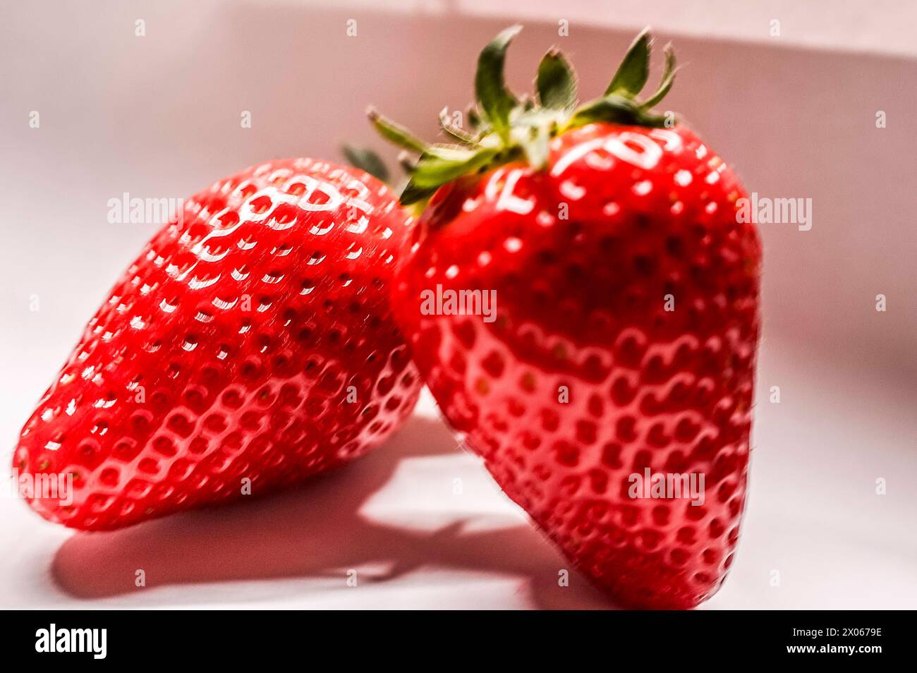 07.04.2024, Handenberg, AUT, Unterwegs in Oberösterreich, Symbolbild, Themenbild, Verschiedene Themenbilder, Reportage, Erdbeer, Frucht, im Bild Erdbe Stock Photo