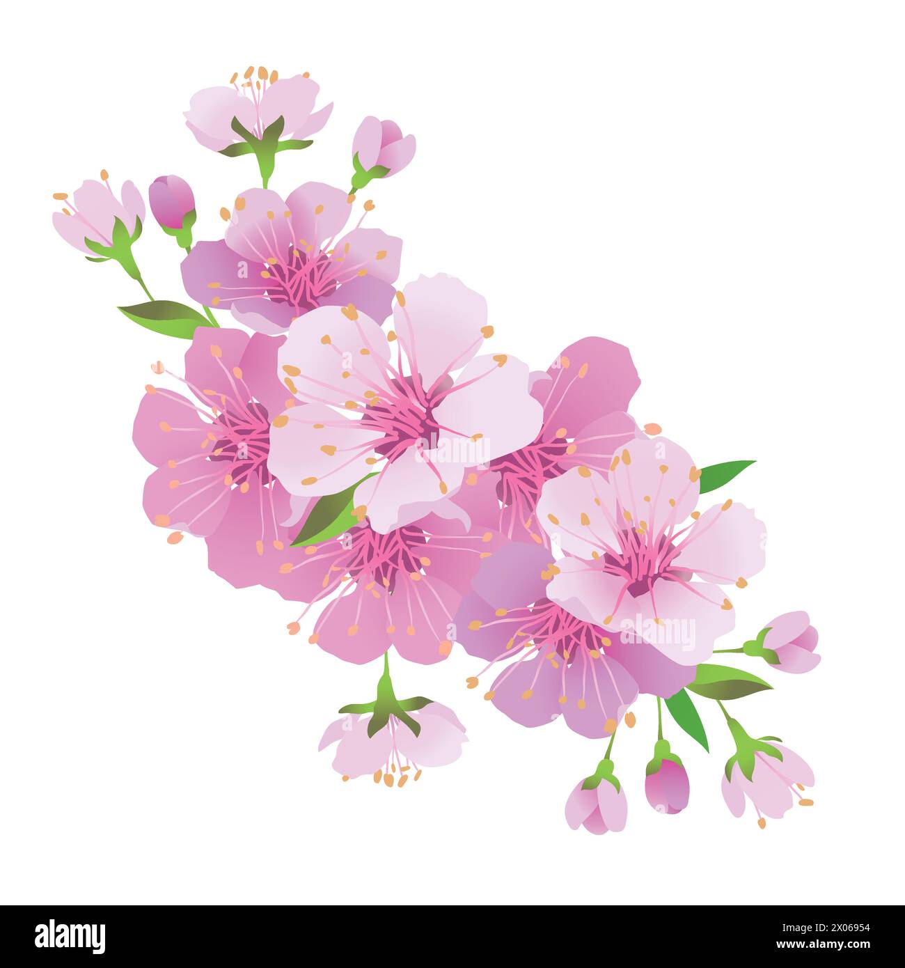 Realistic Japanese cherry sakura branch with pink flowers. Vector ...