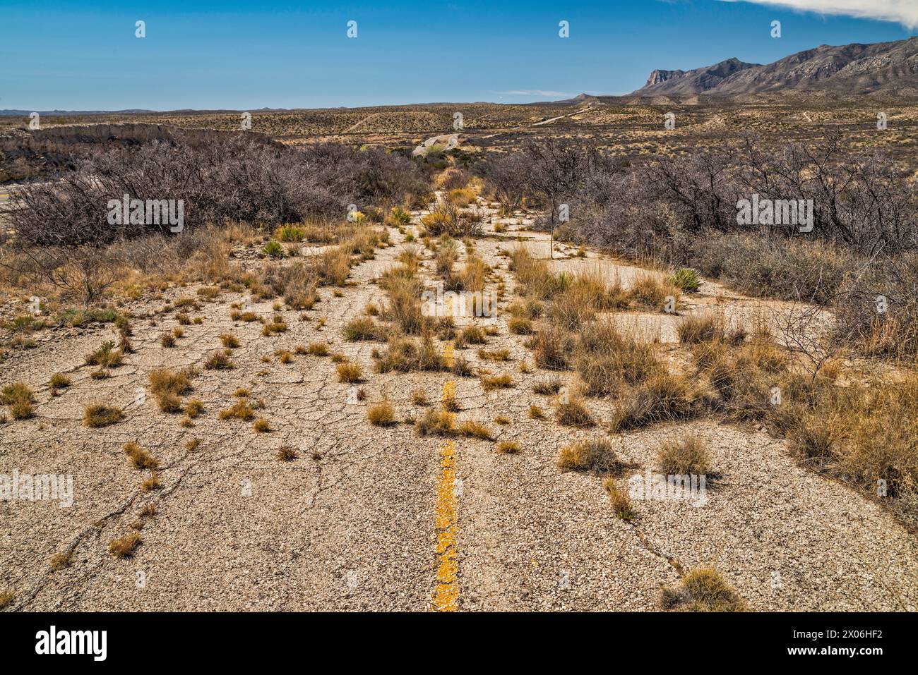 Abandoned section of US-180, US-62 highway with overgrowth, Guadalupe Mountains in distance, Texas, USA Stock Photo
