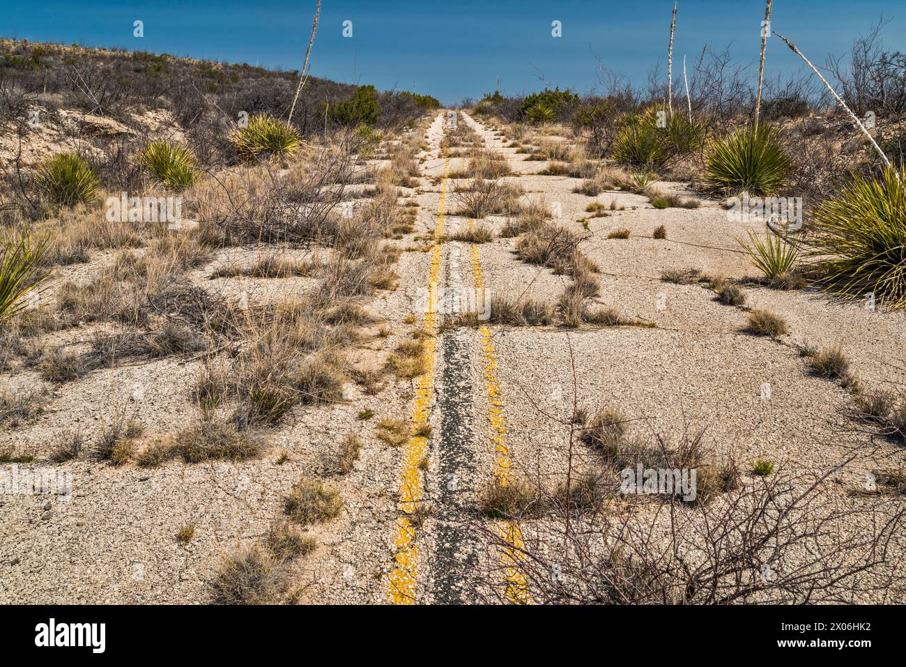 Abandoned section of US-180, US-62 highway with overgrowth, near Guadalupe Mountains, Texas, USA Stock Photo