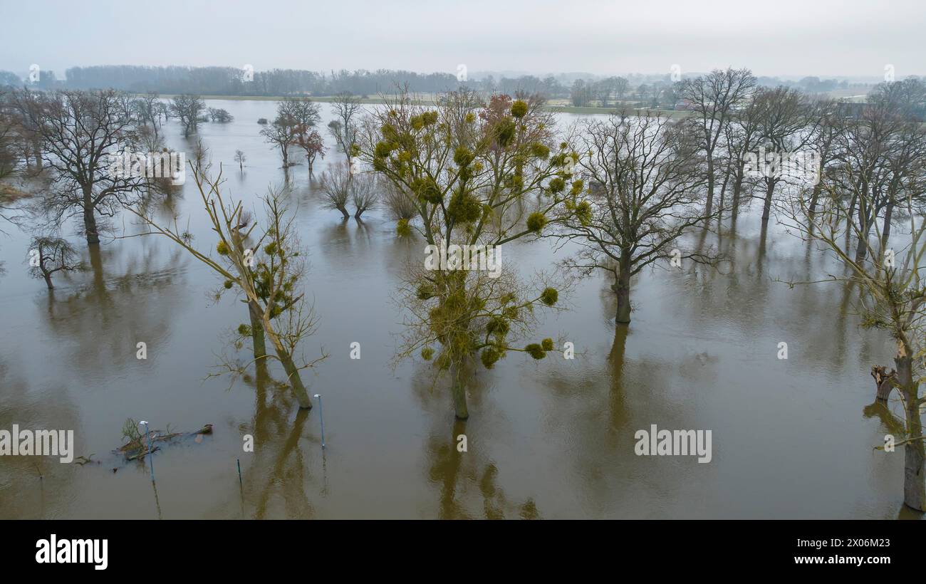 aerial view ot the winter flooding of the Elbe, Germany, Saxony-Anhalt, Altmark Stock Photo
