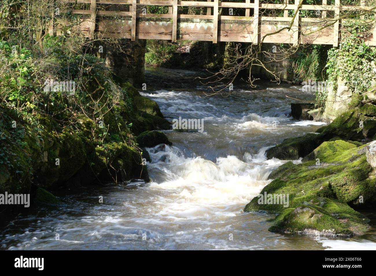 Bridge over Cefni River, The Dingle, Llangefni, Anglesey Stock Photo ...