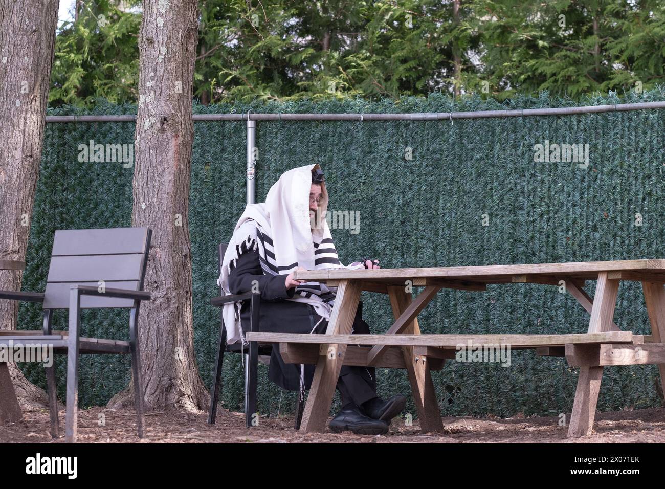 An orthodox Jewish man wearing a tallis & teffilin, reads from a book - likely praying - in the outdoor area of a synagogue in Rockland County. Stock Photo