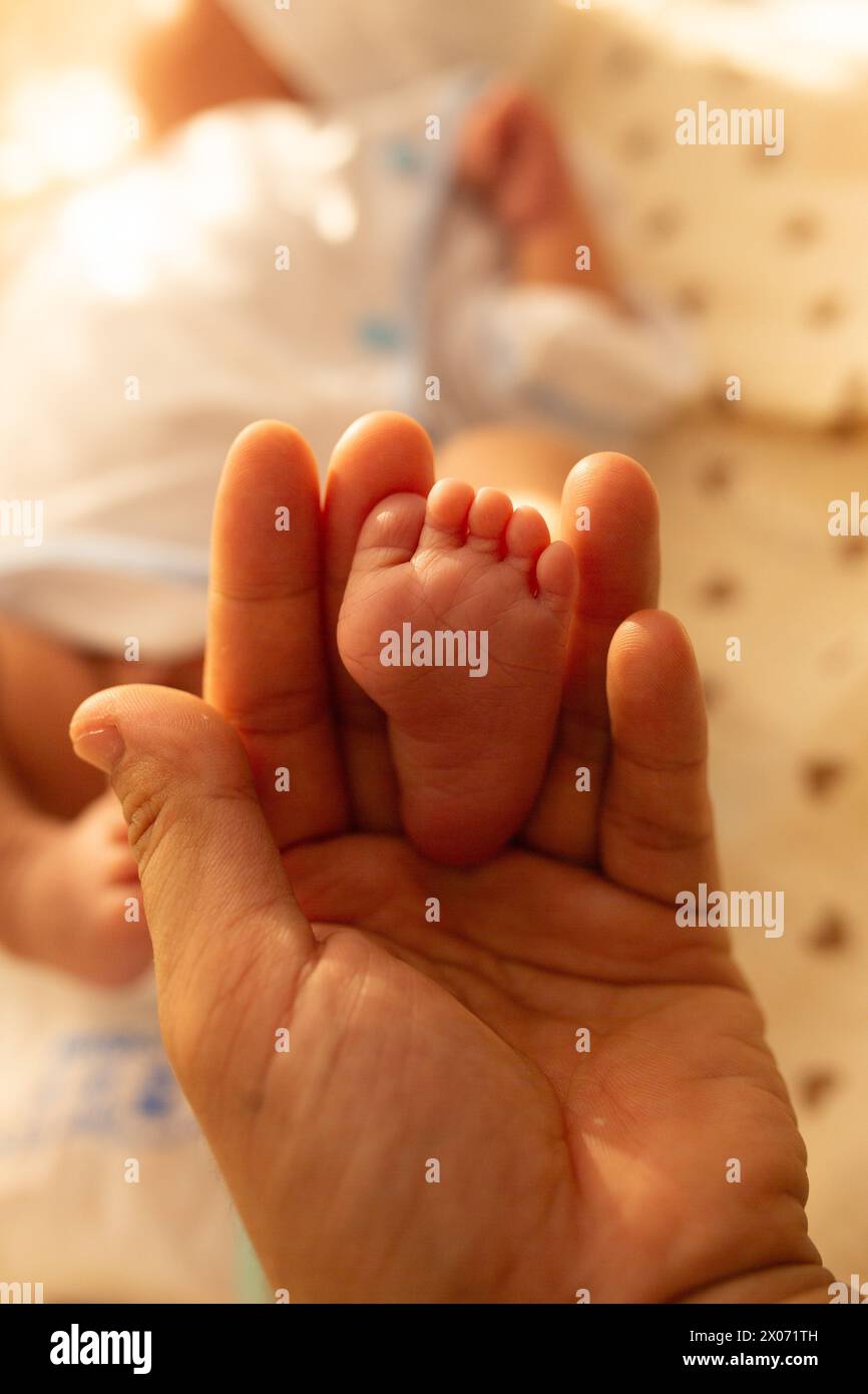 The feet of the newborn compared to the hands of an adult. cute newborn