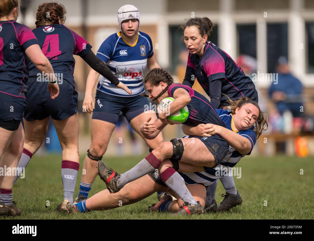 English amateur rugby union women's game. Stock Photo
