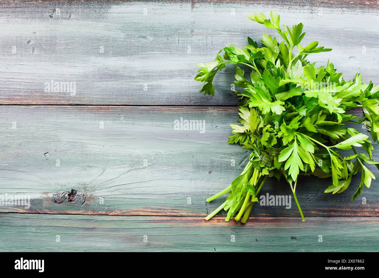Bundle of fresh Italian flat leaf parsley herb over a painted background. Table top view. Overhead. Flatlay. Stock Photo