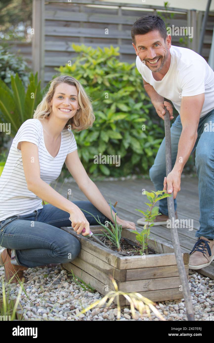 Man planting young vegetables in hi-res stock photography and images ...