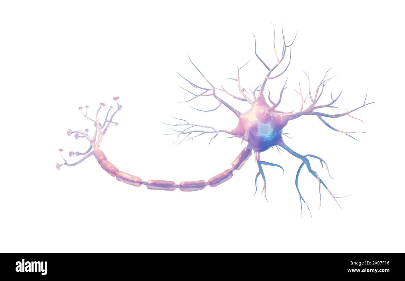 Cell signal biology Cut Out Stock Images & Pictures - Alamy