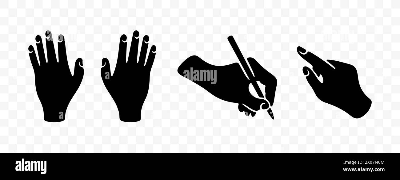 Hands, writes with pen and points with index finger, graphic design. Arm and wrist, people, body parts, vector design and illustration Stock Vector