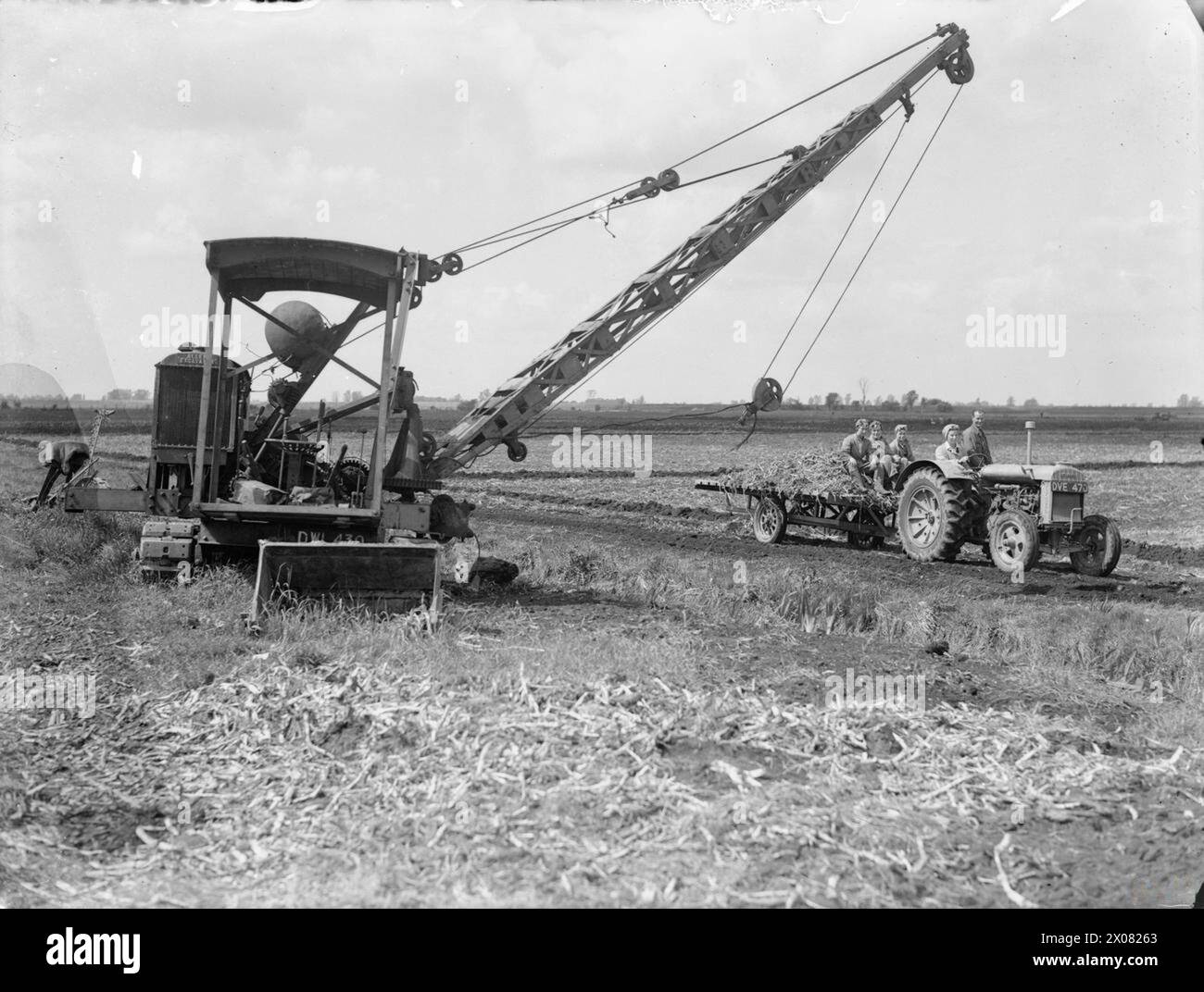 THE WORK OF THE WOMEN'S LAND ARMY IN THE RECLAMATION OF FEN LAND