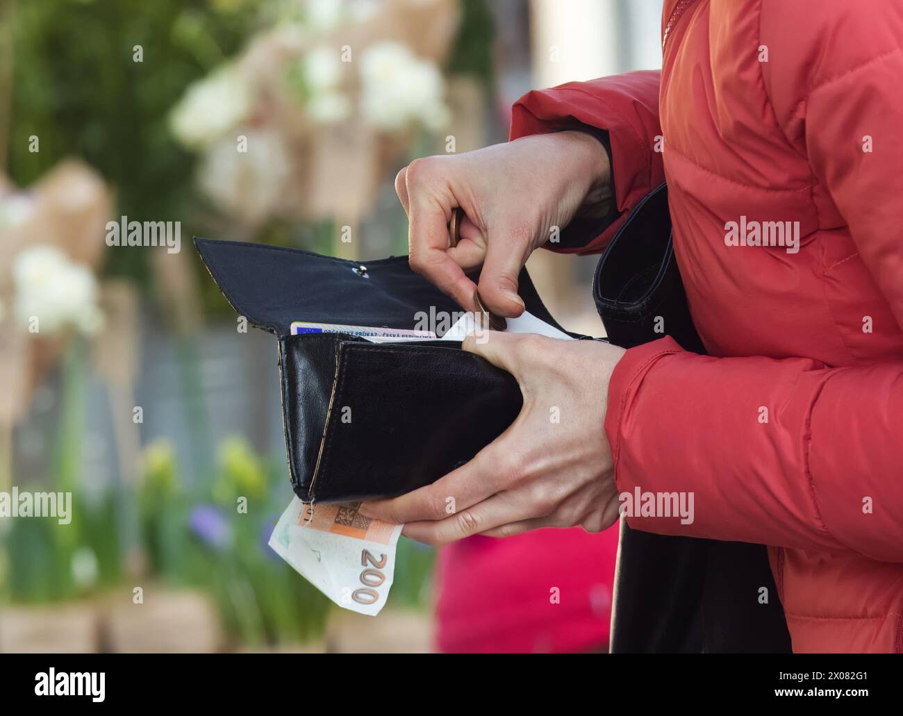 Midsection of woman holding wallet in hands and counting money at farmers market in Prague. Payment cash for goods at the outdoor market, close-up. Stock Photo